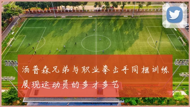 汤普森兄弟与职业拳击手同框训练展现运动员的多才多艺