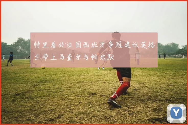 特里看好法国西班牙争冠建议英格兰带上马奎尔与帕尔默