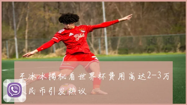 王冰冰揭秘看世界杯费用高达2-3万人民币引发热议