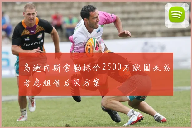 乌迪内斯索勒标价2500万欧国米或考虑租借后买方案