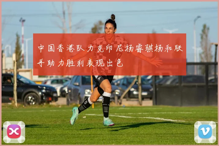 中国香港队力克印尼杨睿骐杨和联手助力胜利表现出色